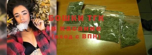 spice Бородино