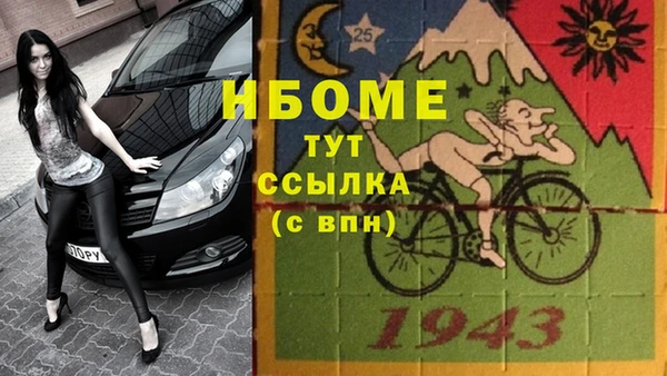 spice Бородино