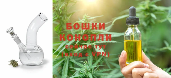 spice Бородино