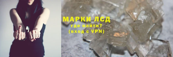 spice Бородино
