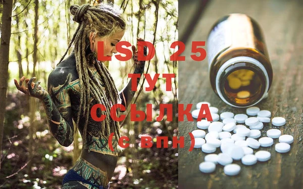 spice Бородино