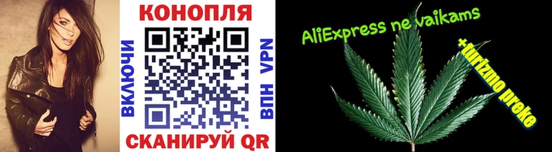 Конопля семена  Купить закладки  Тавда 